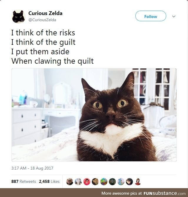 Zelda