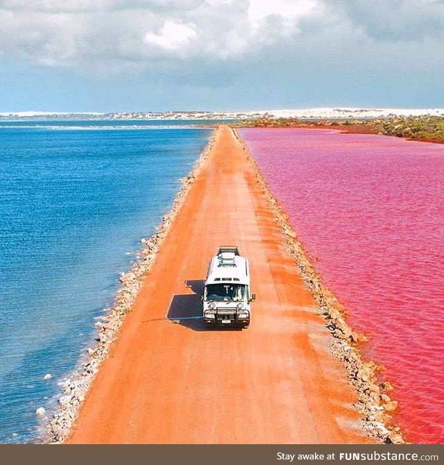 Australian pink lake