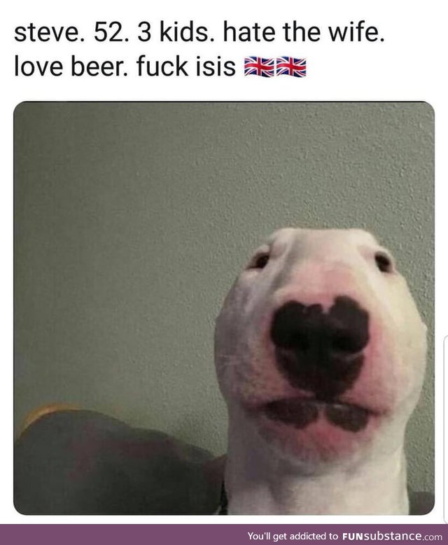 I think everyone knows a Steve