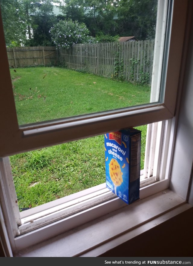 Mac now supports Windows