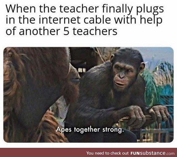 I'm monkey