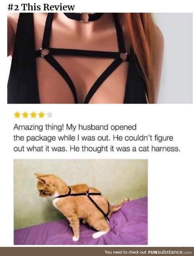 Yes that could be me... No not the girl, not the cat... I could be the one taking pictures
