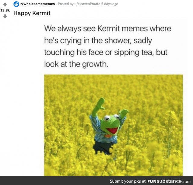 Bout time Kermit stopped sipping tea in the shower