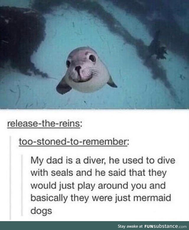 Mermaid Dogs