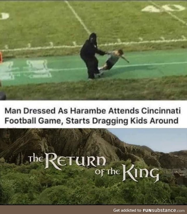 Our boy is back