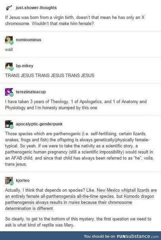 Yer a lizard, Mary