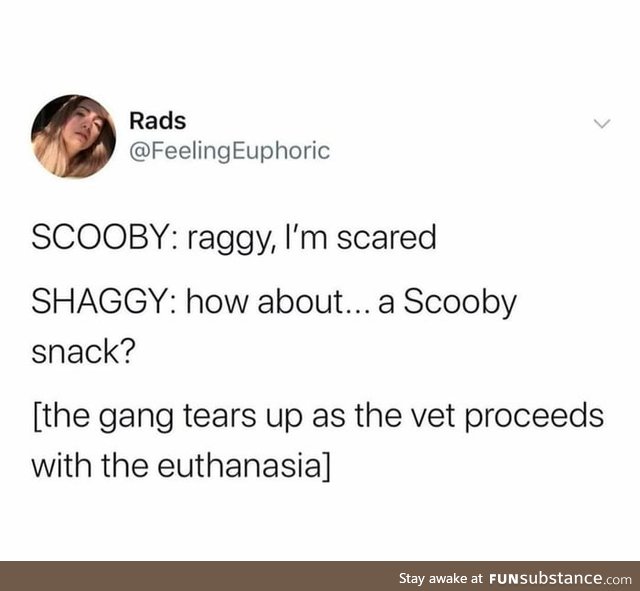 Assuming scooby is a great dane and they have an average lifespan of 8 years. The gang