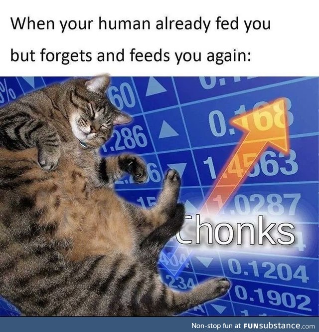 Thonks for the chonks