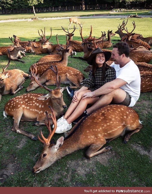 Nara, japan