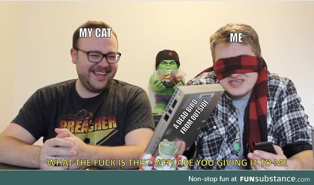 Love cats