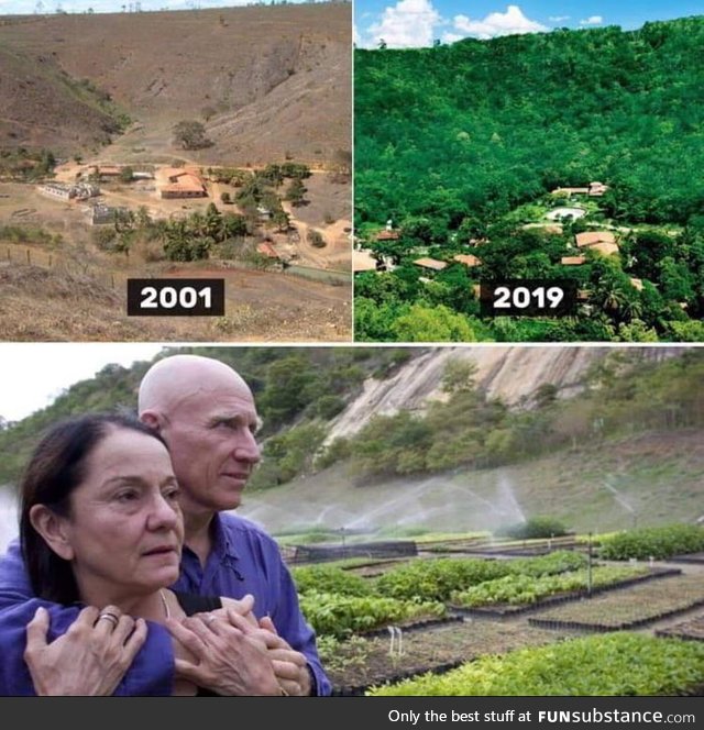 This couple planted over 2million trees to regrow a forest in 20years