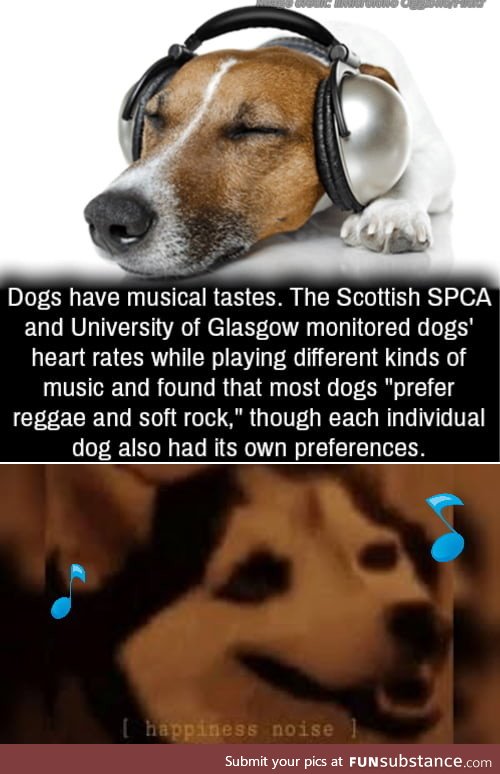 Play music for your doggo