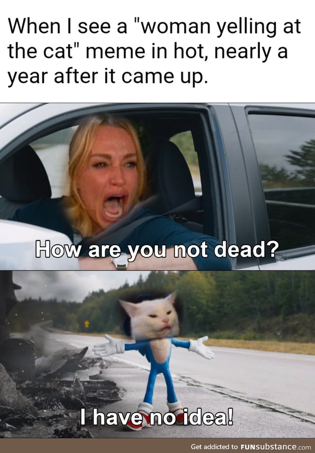 Ummm...meow?