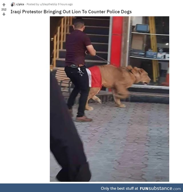 Hong Kong could learn a thing or two from this guy