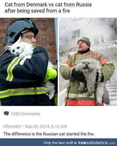 Cyka blyatt cat