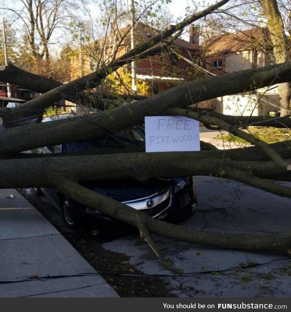 Free firewood