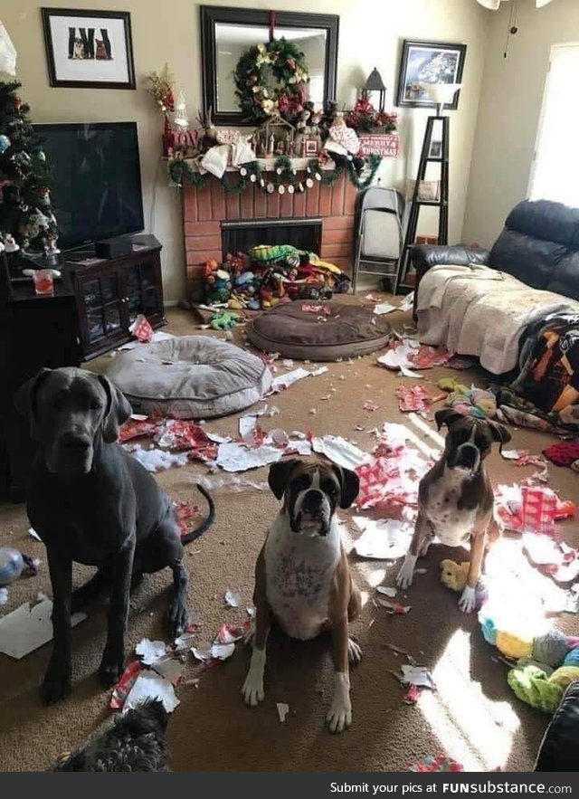 You get home and find this, what do you do ?