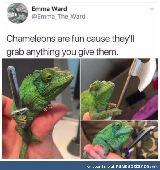 Chameleons make me happy :D
