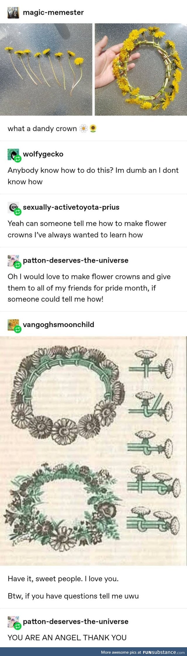Flower crowns