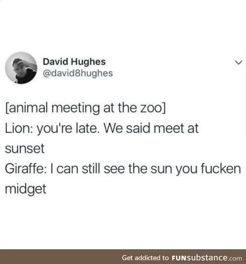 I'm the lion