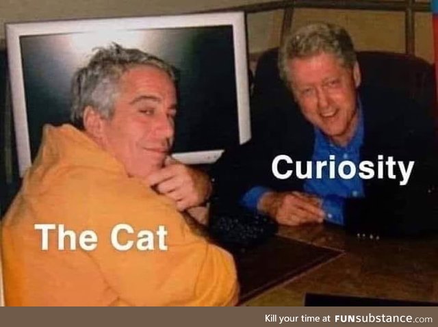 Curiosity killed the cat