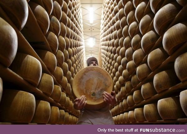 Parmesan wheels. Modena, Italy