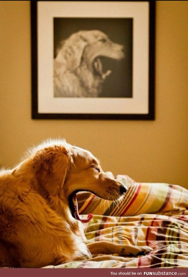 Yawn deja vu