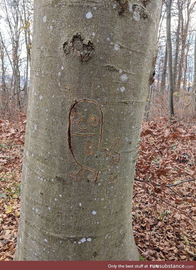 Who did this at Lichtenstein Castle, Germany