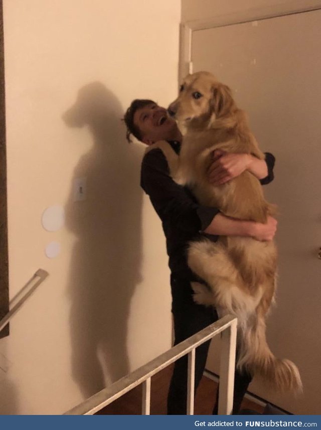 Terrifying dog man shadow