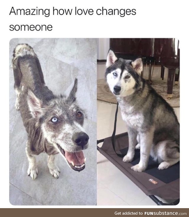Amazing change