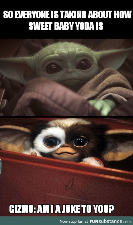 He just looks like a shaved Gizmo, change my mind