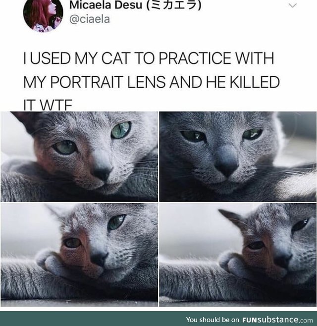 Nailed it