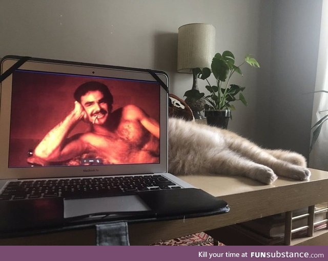 How you doing, p*ssy cat?
