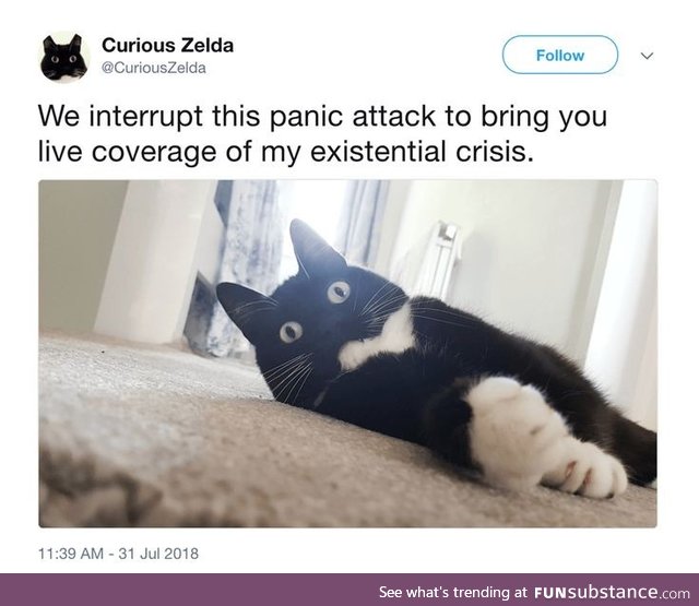 I love this account