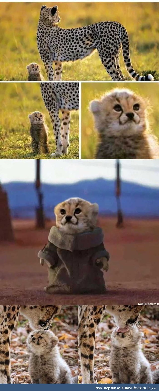 Cuteness