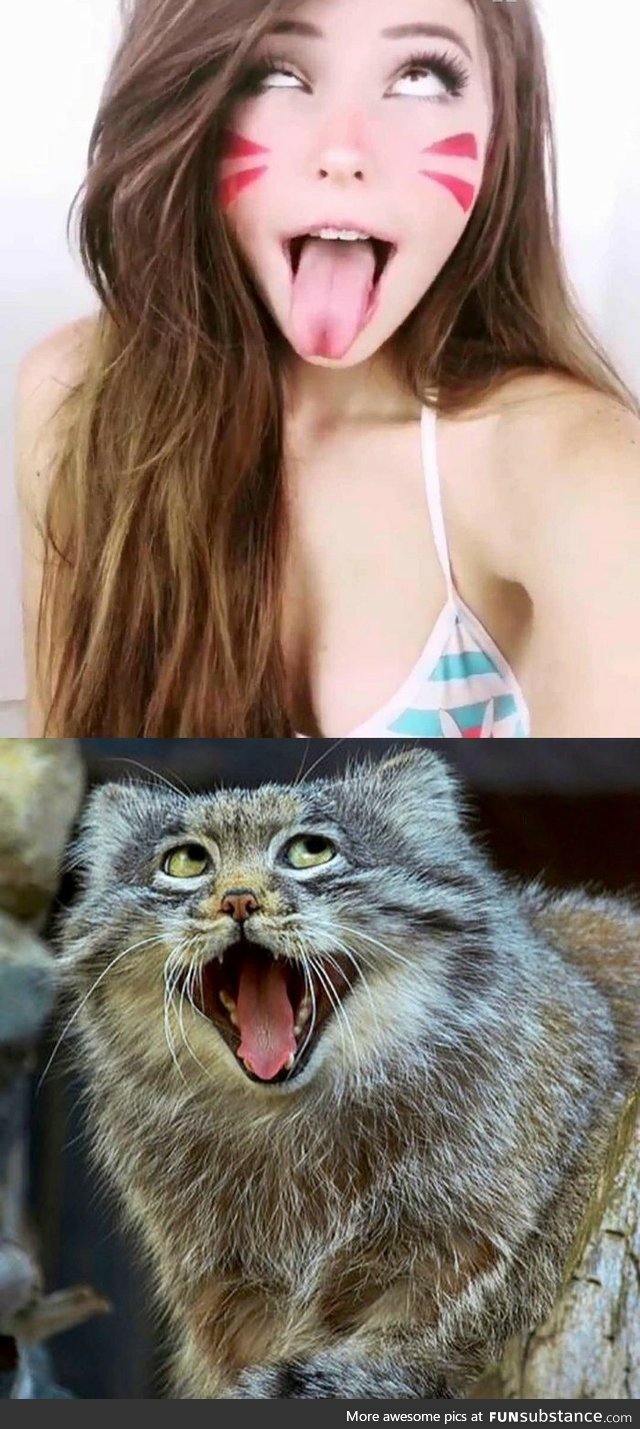 I Can't Unsee It Now