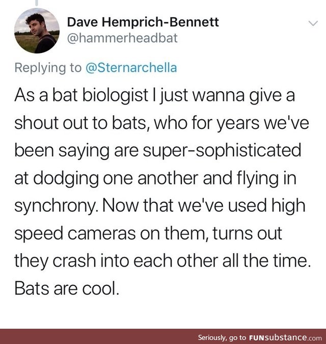 Bats became clumsy due to advancements in science