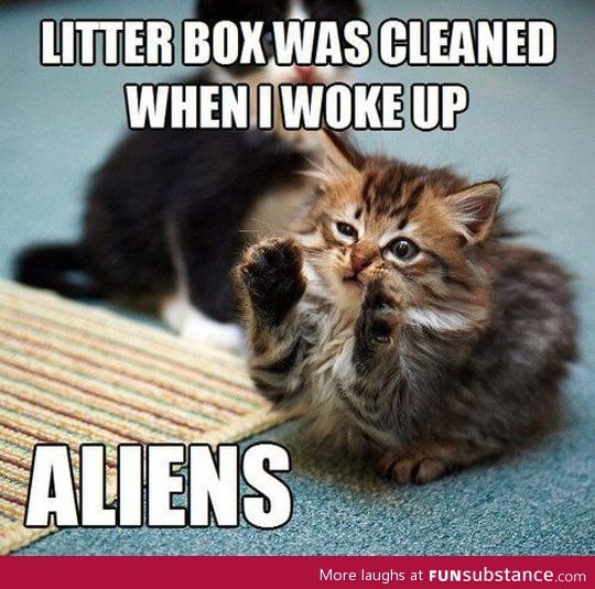 Aliens everywhere
