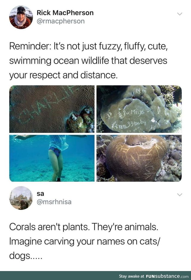 Humans are trash