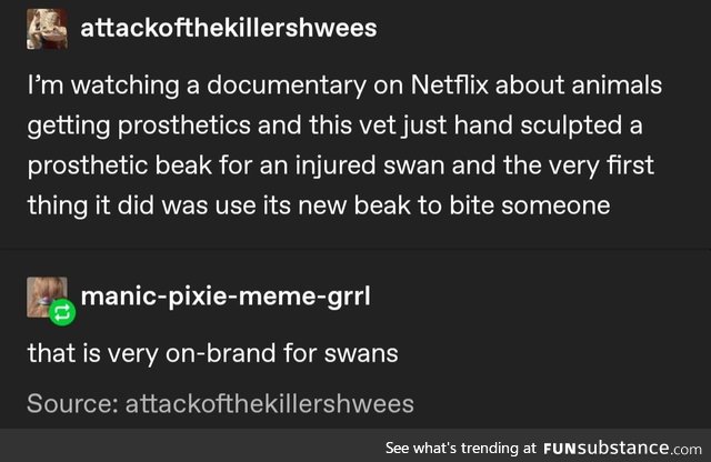 Swans is as swans does