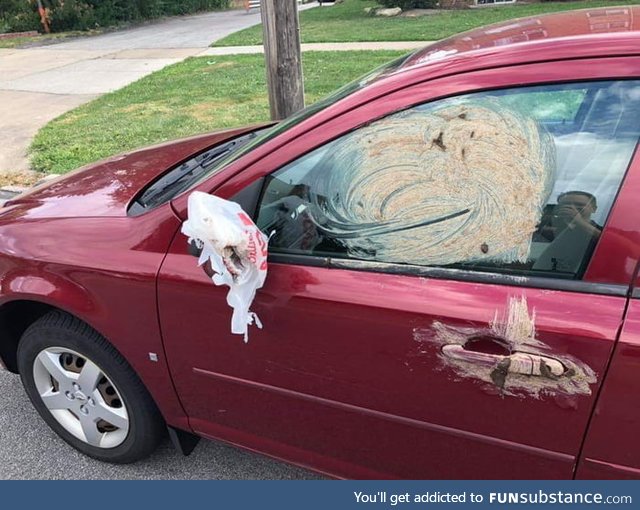 Somebodys retribution for a neighbor leaving their dog's poop on the ground