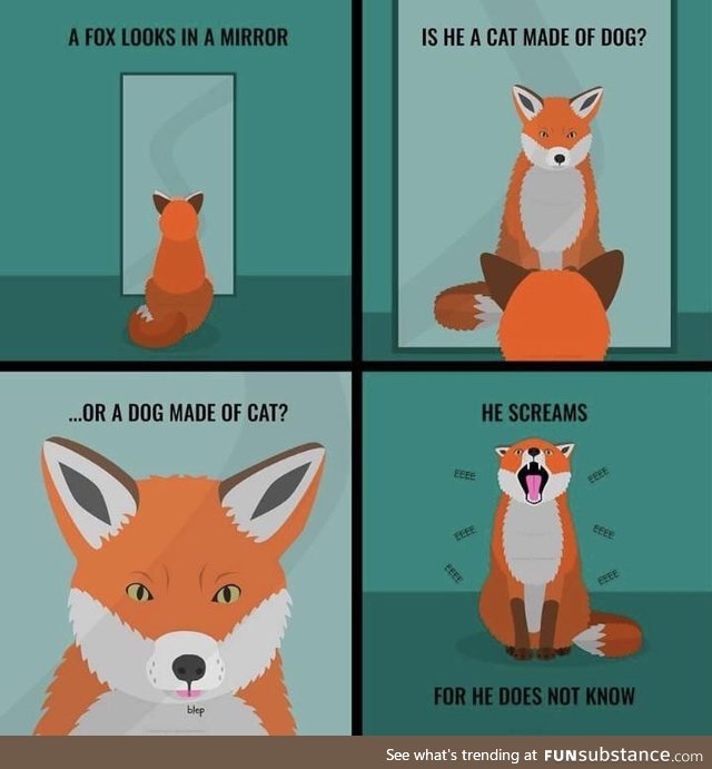 The fox doesn’t know