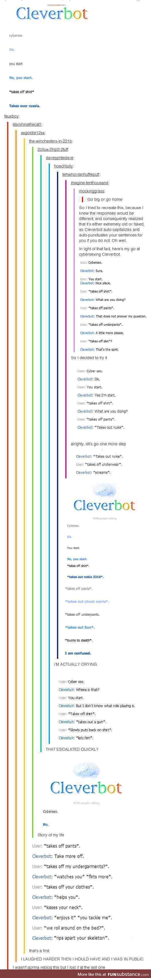 Cleverbot Cybersex. (You will need armour, I think. And something to bite down on.)