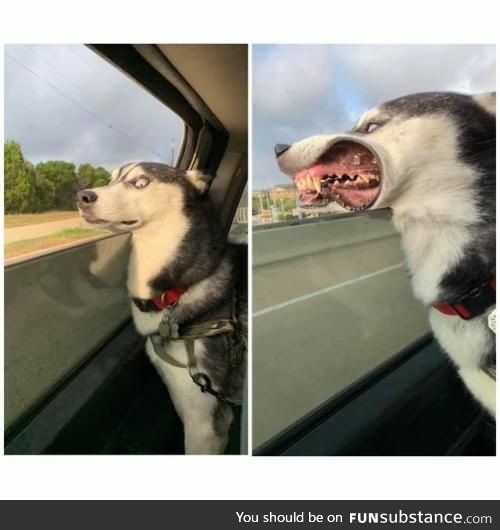 FEEL THE WIND IN YOUR TEEF! No one else can feel it for you