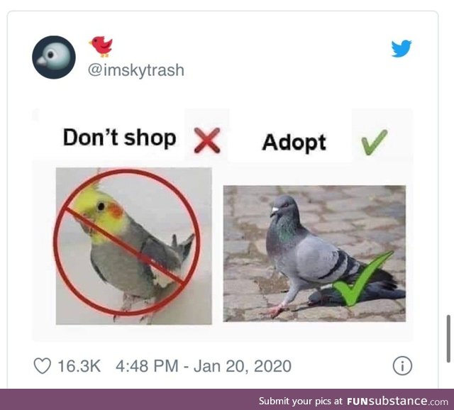 (HL doesn't support the bird emoji so my title is ruined)