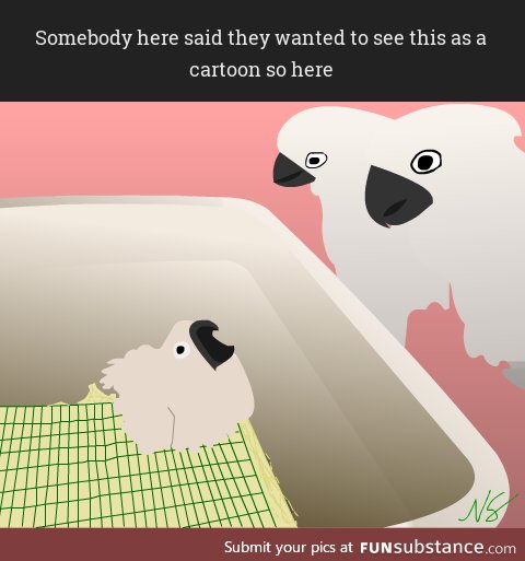 A parrot is born :)