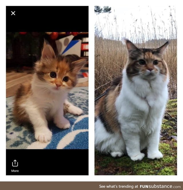 1 year later