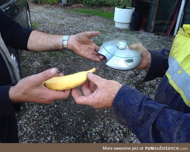 Seems like a fair trade