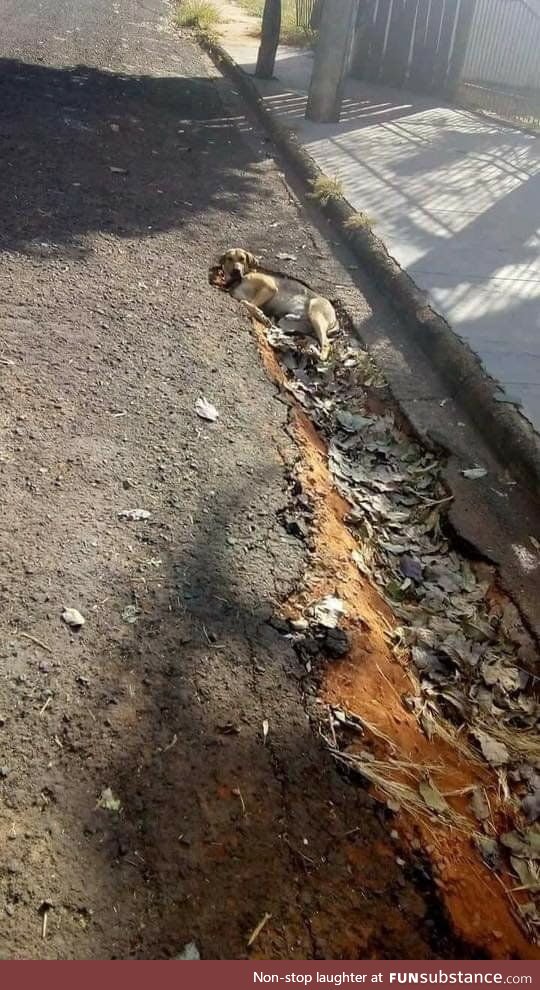 How fast was he going?
