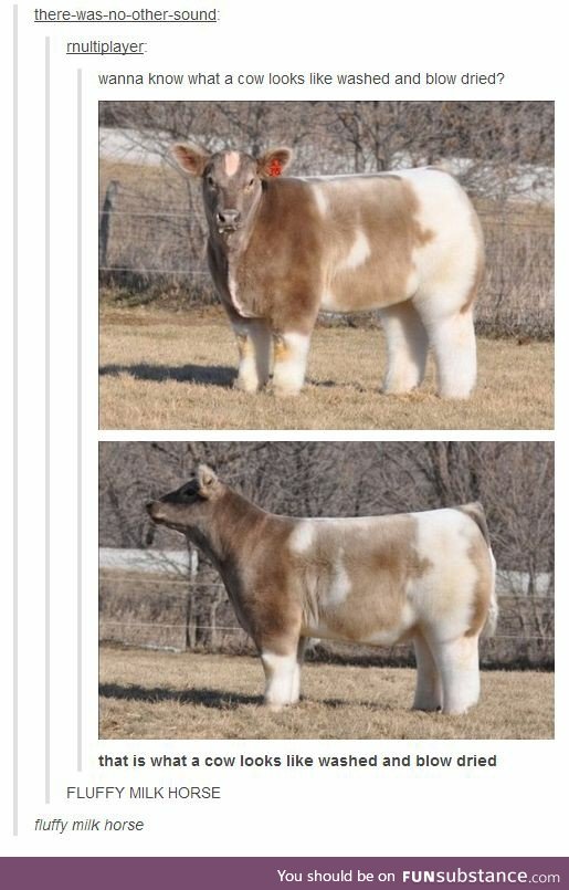 Fluffy Milk Horse